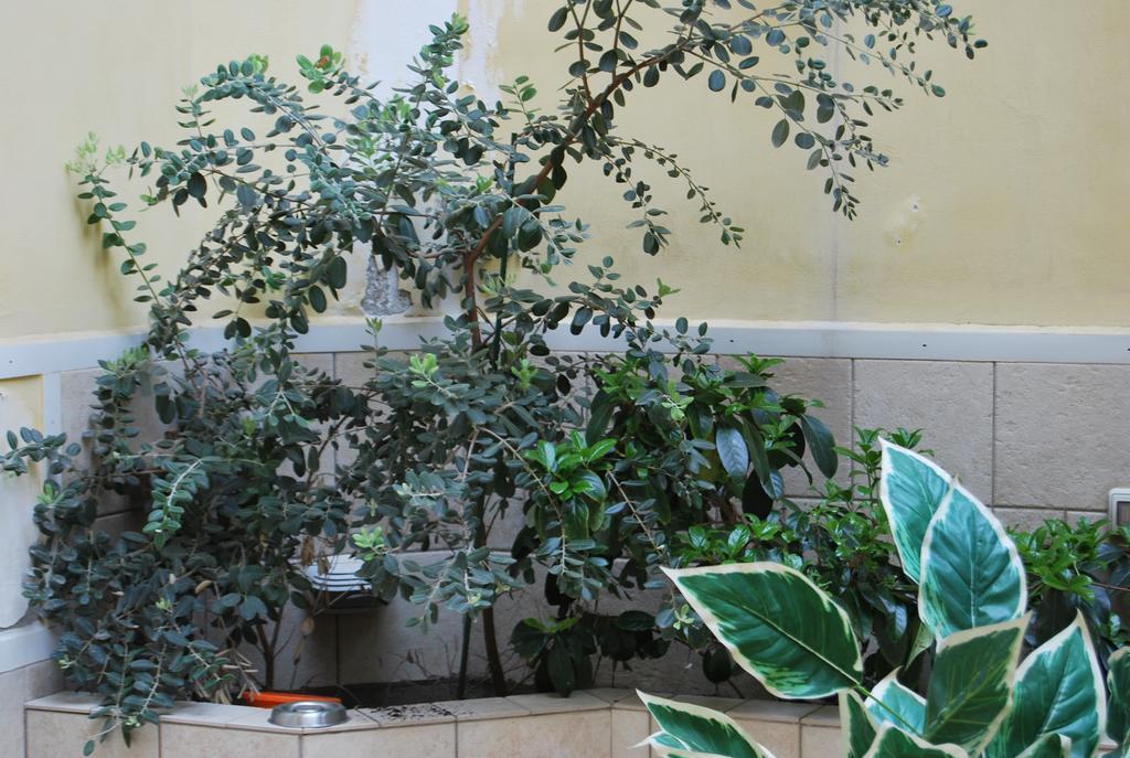 Apartment Casa Francesca シラクーサ エクステリア 写真